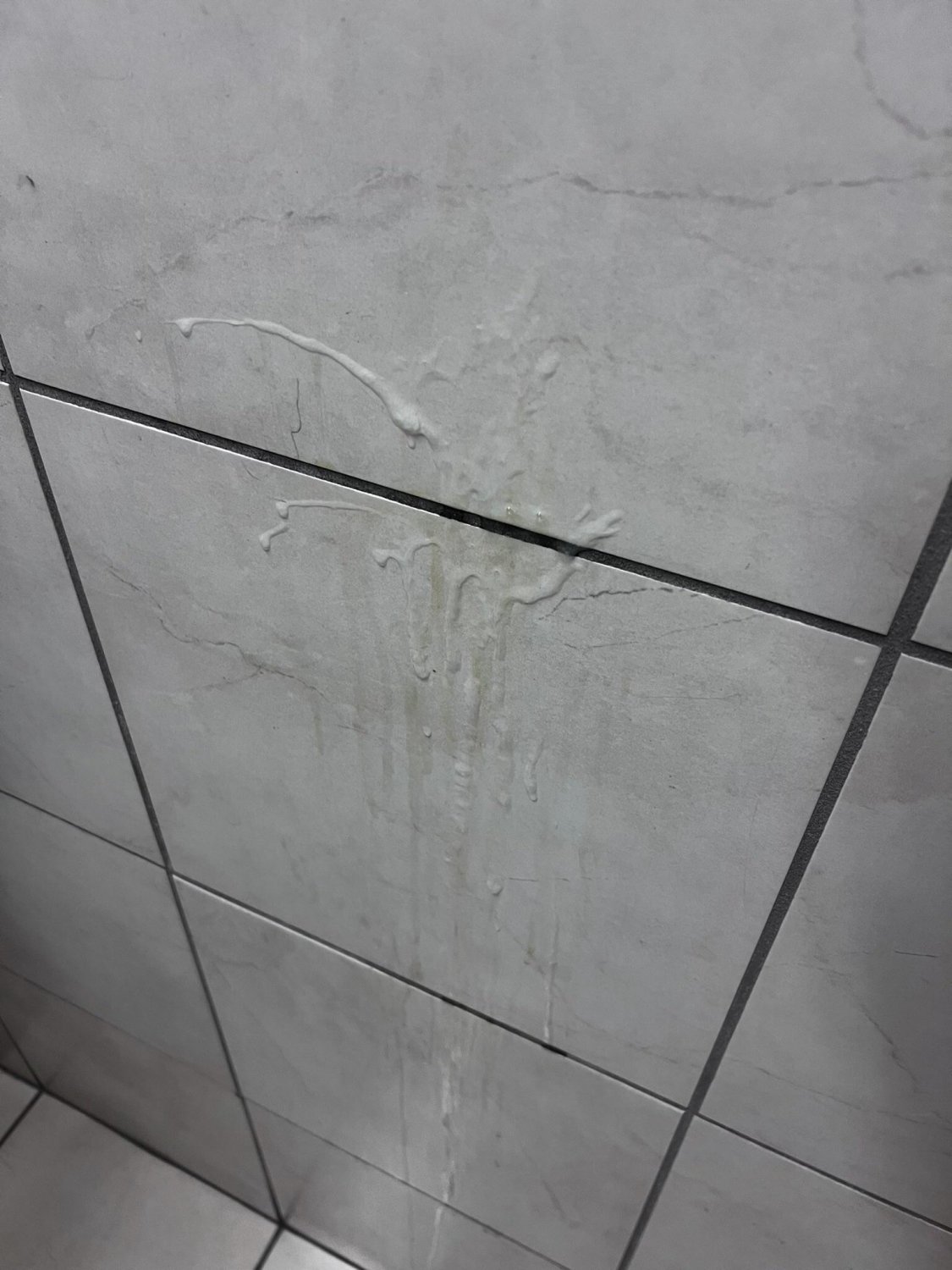 Chocolate\6/scorpion #gIYXJfJ7